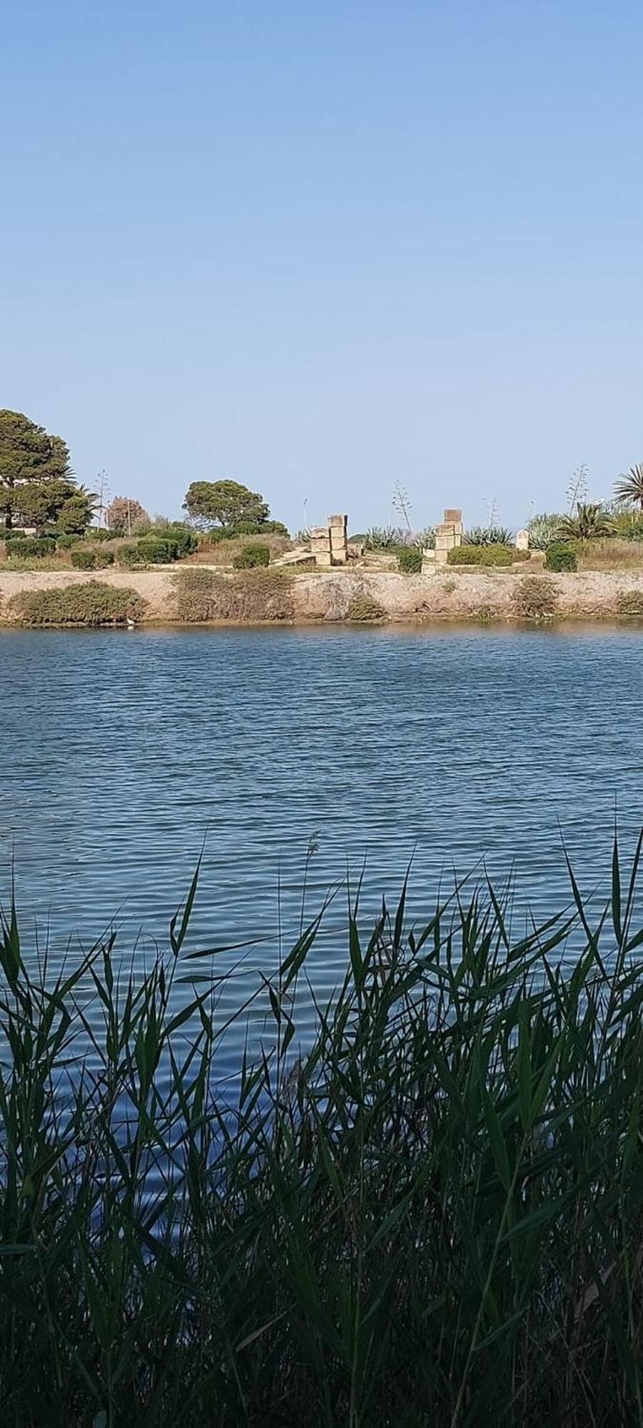 "L'Abri Cotier" Appartement 3 Chambres Haut Standing Port Punique Carthage Douar ech Chott Exteriér fotografie
